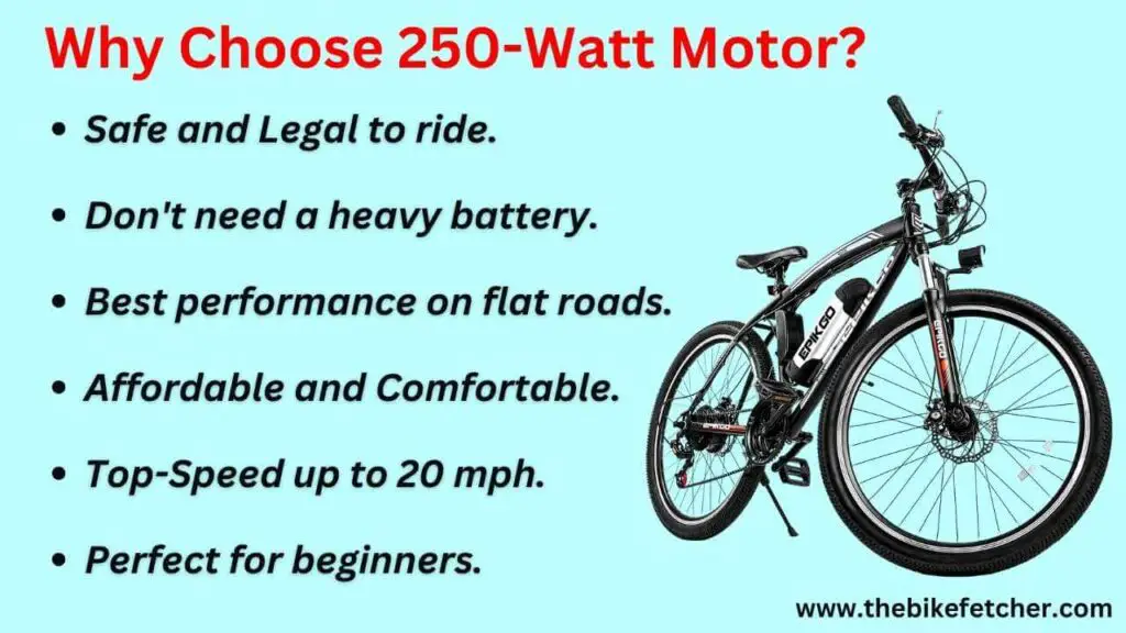 250w ebike motor features