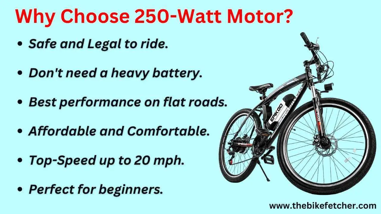 e bike 250 watt motor