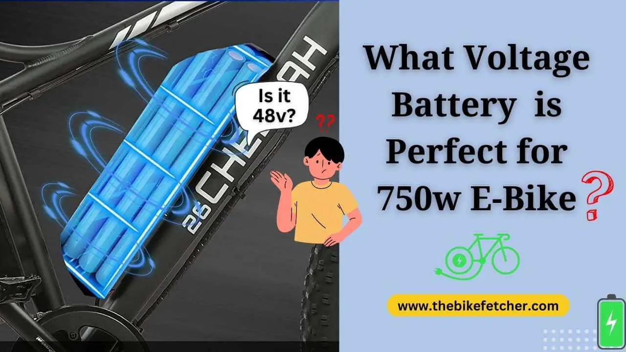 what size battery for a 750w ebike